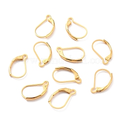 304 Stainless Steel Leverback Earring Findings&nbsp;STAS-K233-04G
