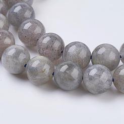 Natural Labradorite Beads Strands&nbsp;X-G-G212-8mm-23