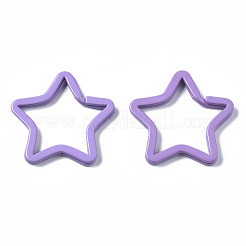 Spray Painted Iron Key Snap Hook Clasps for Keychains&nbsp;KEYC-S255-002