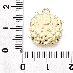Alloy Pendants&nbsp;PALLOY-N176-53KCG
