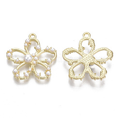 Alloy Pendants&nbsp;PALLOY-T077-05