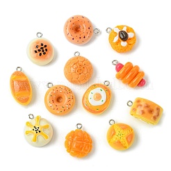 24Pcs 12 Styles Resin Pendants&nbsp;RESI-CJ0003-99