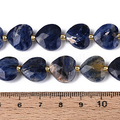 Natural Sodalite Beads Strands&nbsp;G-P592-B08-01