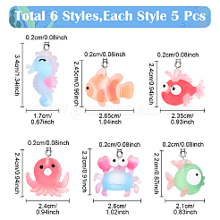 30Pcs 6 Styles Opaque Resin Pendants&nbsp;RESI-YW0003-50