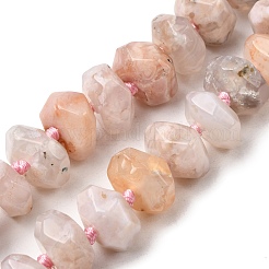 Natural Cherry Blossom Agate Beads Strands&nbsp;G-K195-04A
