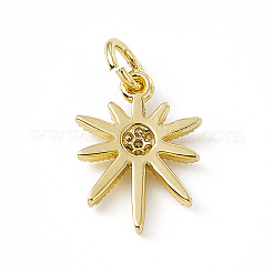 Brass Micro Pave Cubic Zirconia Charms&nbsp;ZIRC-F132-34G