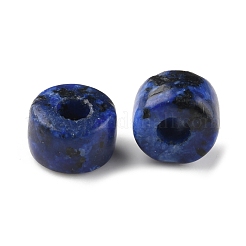 Natural Sesame Jasper/Kiwi Jasper Imitation Lapis Lazuli Beads&nbsp;G-G0003-A07
