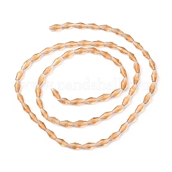 Transparent Glass Beads&nbsp;GLAA-P001-01A-01