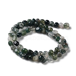 Natural Moss Agate Beads Strands&nbsp;G-D081-A02