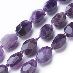 Natural Amethyst Beads Strands&nbsp;G-P434-30A