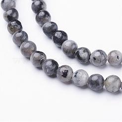 Natural Larvikite Beads Strands&nbsp;GSR4mmC128