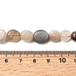 Natural Multi-Moonstone Beads Strands&nbsp;X-G-F547-06-B