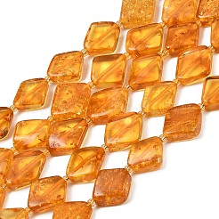 Natural Amber Beads Strands&nbsp;G-Z106-D01-02