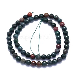 Natural Bloodstone Beads Strands&nbsp;G-K310-C04-6mm