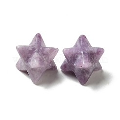 Natural Lepidolite/Purple Mica Stone Beads&nbsp;G-A206-01B-38