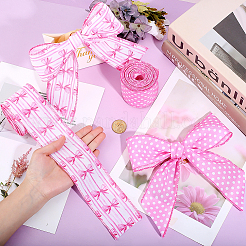 2Rolls 2 Styles Polyester Ribbons&nbsp;SRIB-ME0001-17