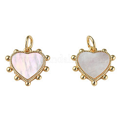 Natural Shell Charms&nbsp;KK-N233-210