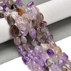 Natural Rutilated Quartz Beads Strands&nbsp;G-P497-01E-08B