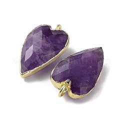 Natural Amethyst Pendants&nbsp;G-G012-12G-10