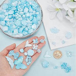 100G Plastic Pendants & Beads & Decoden Cabochons&nbsp;OHAR-SC0002-99C