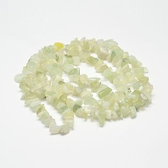 Chip Natural New Jade Beads Strands&nbsp;G-N0144-01