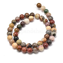 Natural Polychrome Agate Round Bead Strands&nbsp;G-P075-28-8mm