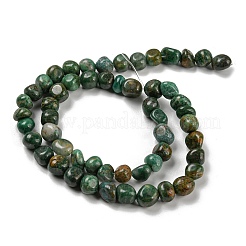Natural South African Jade Bead Strands&nbsp;G-P070-07A