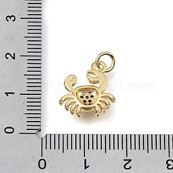 Brass Micro Pave Clear Cubic Zirconia Charms&nbsp;KK-E802-05G