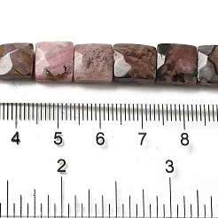 Natural Rhodonite Beads Strands&nbsp;G-C109-A03-02