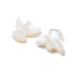 Natural Shell Beads&nbsp;BSHE-H017-02