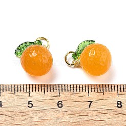 Dyed Natural Agate Orange Charms&nbsp;X-G-U025-07G