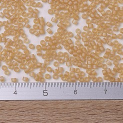 MIYUKI Delica Beads Small&nbsp;SEED-X0054-DBS0852