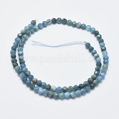 Natural Apatite Beads Strands&nbsp;G-F547-37-5mm