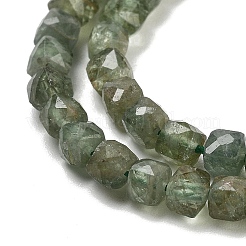 Natural Green Apatit Beads Strands&nbsp;G-H042-A12-02C