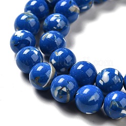 Synthetic Turquoise and Sea Shell Assembled Beads Strands&nbsp;G-D482-01C-03