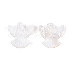 Natural Freshwater Shell Beads&nbsp;BSHE-T014-35