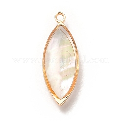 Brass Enamel Pendants&nbsp;X-KK-K252-10G-01