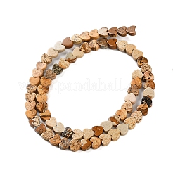 Natural Picture Jasper Beads Strands&nbsp;G-M403-A10-02
