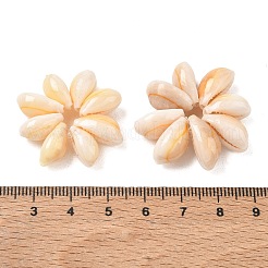 Natural Cowrie Shell Beaded Beads&nbsp;SH-CBACA76-06