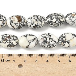 Dyed Synthetic Turquoise Beads Strands&nbsp;G-M448-B01-02