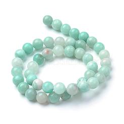 Natural Amazonite Beads Strands&nbsp;G-T055-6mm-17