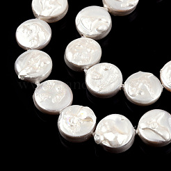 Plating Natural Freshwater Shell Beads Strands&nbsp;SHEL-N026-226