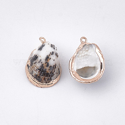 Electroplate Sea Shell Pendants&nbsp;SSHEL-T009-14