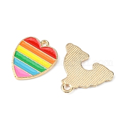 DIY Rainbow Color Pride Bracelet Making Kit&nbsp;OACR-FS0004-20