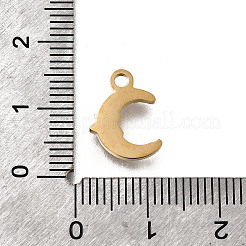 304 Stainless Steel Charms&nbsp;STAS-F318-07G