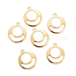 201 Stainless Steel Pendants&nbsp;STAS-K217-48G