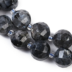 Natural Larvilite Beads Strands&nbsp;G-G182-B03-05