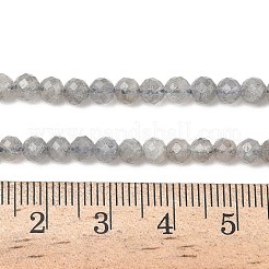Natural Labradorite Beads Strands&nbsp;G-L642-F07-4mm