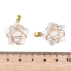 Lampwork Pendants&nbsp;GLAA-T023-06F