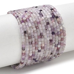 Natural Lepidolite Stone Beads Strands&nbsp;G-RM241221-K14